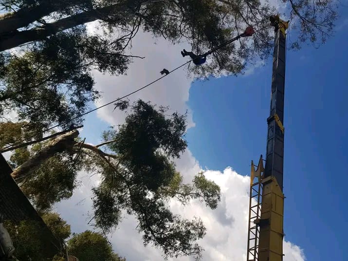 Crew rigging a tree section down using a mobile crane